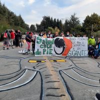 Neuquén: alta tensión y contrapiquete en el corte de ruta que mantiene Salud