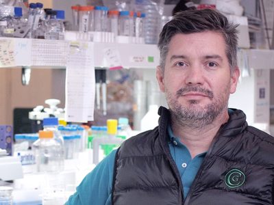 Científicos argentinos podrían hacer animales para trasplantes de órganos a humanos a fin de año