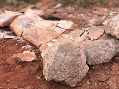 Hallaron el fémur de un dinosaurio gigante en Bardas de Añelo