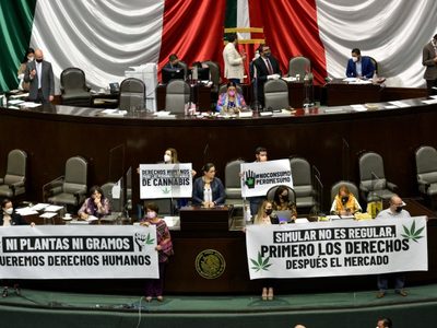 Pese a la resistencia del PAN, PRI y PES, diputados aprueban uso lúdico y legal de la mariguana