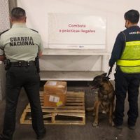 Aseguran 23 kilos de fentanilo en el aeropuerto de Tijuana