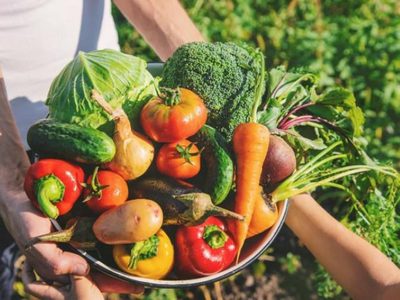 Crece la tendencia de una gastronomía más sustentable