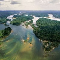 Pesticidas “navegan” sin control en los ríos y llegan a los océanos