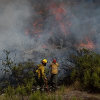Feroz incendio en El Bolsón: el siniestro sigue activo y crece la preocupación