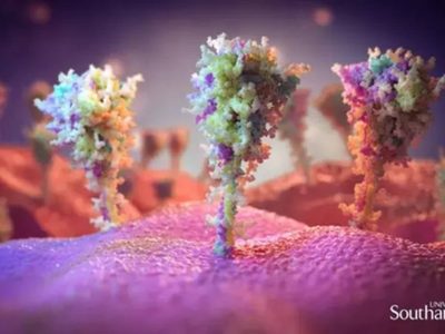 Un estudio sugiere que la variante beta podría conferir "amplia inmunidad" contra ómicron