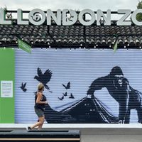 Zoológico de Londres retira mural de animales de Banksy para protegerlo