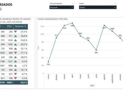 Denuncias realizadas por mujeres durante 2022 aumentaron 10,8% respecto del año anterior