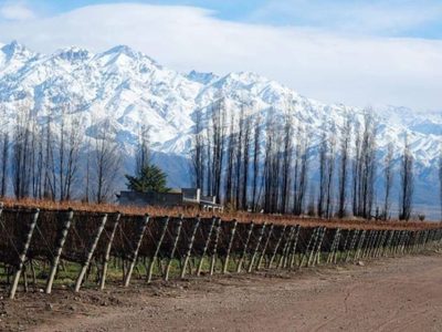 La mejor bodega del mundo es argentina