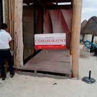 Clausura Profepa tres obras en Tulum que dañaron la vegetación y especies protegidas