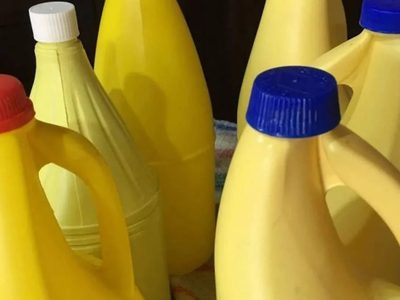 Con esos bidones que ibas a tirar, prepará este original macetero que le dará un toque chic a tu jardín