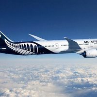 ¡Ofendidas con el Gobierno! Aerolíneas privadas amenazan con no volver al país