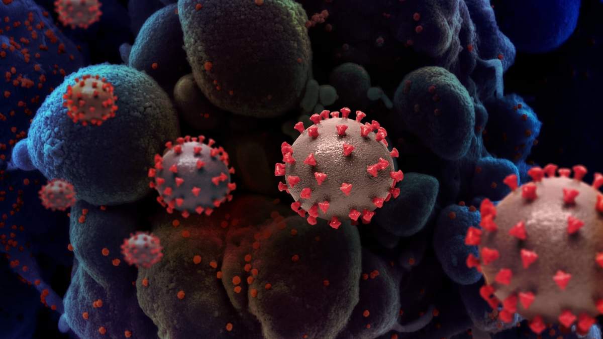 Una representación del coronavirus