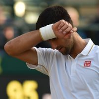 El día que Juan Martín del Potro le provocó el peor llanto de su vida a Novak Djokovic