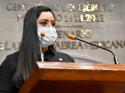 Nueva Alianza, aliado del PRI, se queda sin diputados en el Congreso del Edomex