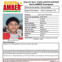 Sedena confirma que sus elementos participaron en detención de joven desaparecido en Guanajuato