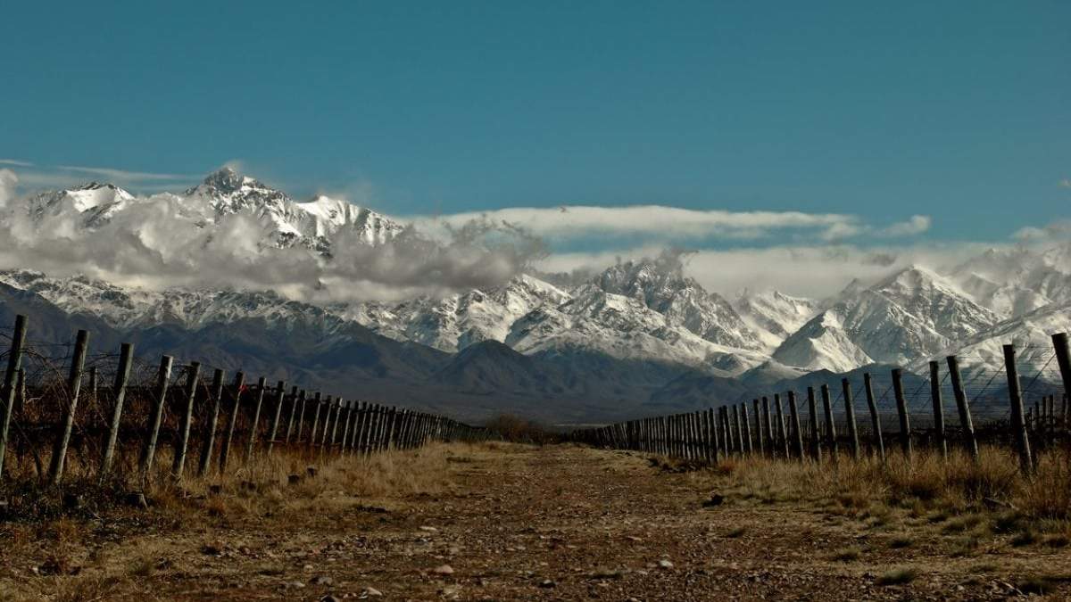 Vinos de Los Chacayes. Fuente: (Instagram)