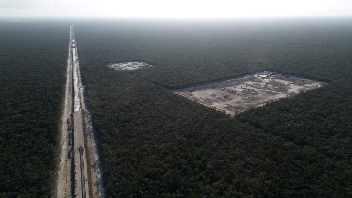 Tren Maya. Destrucción de flora y fauna mexicana