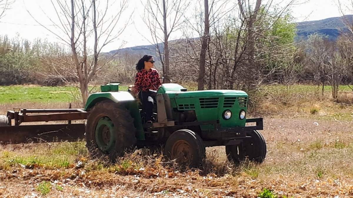 Se destacaron los proyectos agropecuarios. Fuente: (Twitter).