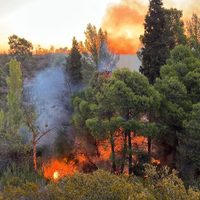 Investigan si el incendio en Parque Norte fue intencional