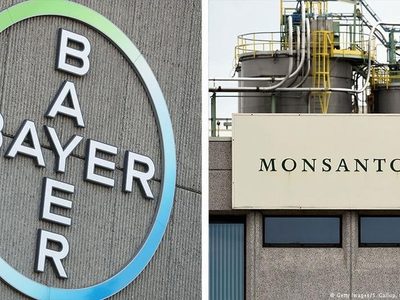 Se prepara “albazo” jurídico a favor de la trasnacional Bayer-Monsanto, alerta Sin Maíz No Hay País
