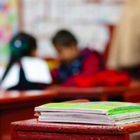La Unicef pide al gobierno apoyar la educación a distancia ante la contingencia