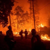 Invertirán 50 millones de dólares para combatir incendios forestales