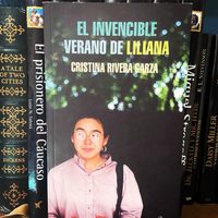 Premio Villaurrutia a “El invencible verano de Liliana” de Cristina Rivera Garza