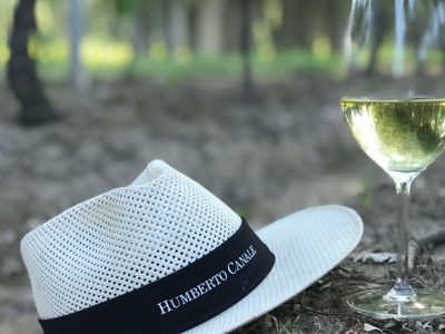 Riesling: la cepa que es joya del Valle