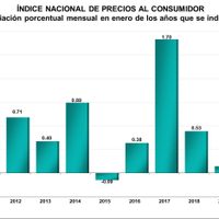 Repunta 0.48% la inflación en enero