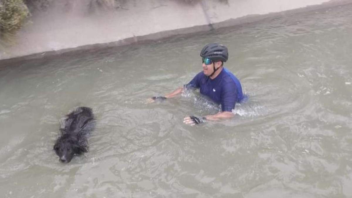 El agente Miguel Aravena al momento de rescatar al perro en un canal de Vista Alegre. Fuente: (Centenario Digital)