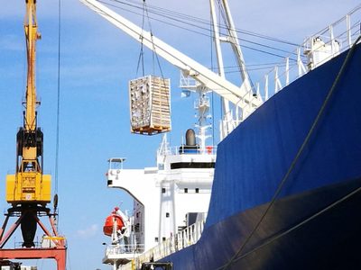 La revalorización del rublo podría permitir el regreso de la exportación de fruta a Rusia