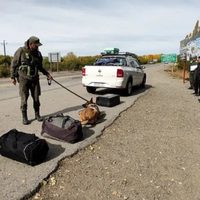 Con ayuda de un perro adiestrado, Gendarmería encontró cocaína y marihuana y detuvo a tres hombres