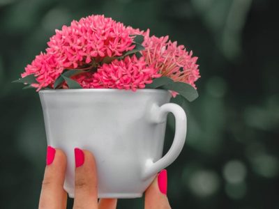 Con 2 tazas rotas y 1 envase descartable: creá este coqueto set de macetas decoradas