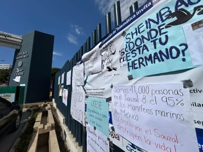 Activistas exigen a Julio Sheinbaum, hermano de Claudia Sheinbaum, defender a Ensenada de megapuerto