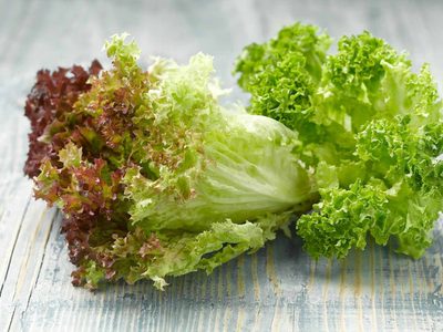 La lechuga está carísima: cultivala en casa en pocos pasos y con este sencillo truco