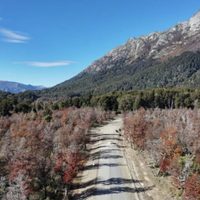 Ruta Provincial 65: la obra de pavimentación alcanza un 54% de avance