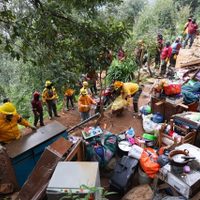 Recuperan cuatro hectáreas invadidas en la zona boscosa de Los Dinamos