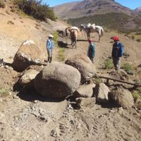Denunciaron el cobro de un “peaje” a los crianceros trashumantes en el norte neuquino