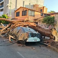 Brugada reporta saldo blanco en CDMX tras sismo magnitud 6.5 (Video)