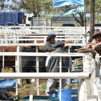 Río Negro defiende su agro y anunció una inversión millonaria para expandir la producción