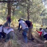 Proponen que colectivos de búsqueda sean reconocidos ante la ley