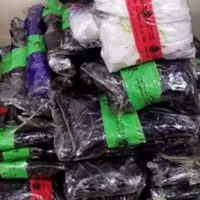 Cae tamaulipeco en Texas con 1.4 millones de dólares en metanfetaminas
