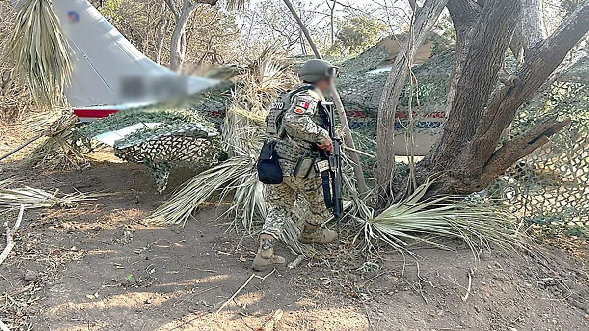 La avioneta asegurada con más de media tonelada de cocaína en el Istmo de Tehuantepec, Oaxaca