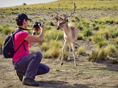 Un lugar que une naturaleza y animales en libertad al sur de Buenos Aires