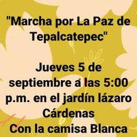 Tras enfrentamientos, habitantes de Tepalcatepec realizarán marcha por mayor seguridad
