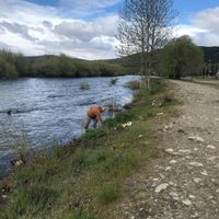 Tragedia en el río Chimehuin: encontraron sin vida al guía de pesca