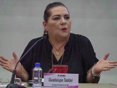 INE anulará elección si candidato ganador es deudor alimentario o cometió violencia de género