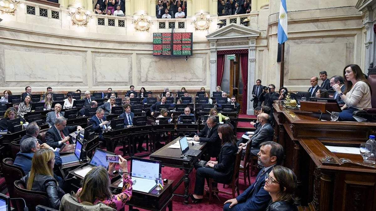 Senadores. Fuente: (Twitter)