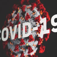 Coronavirus: reporte semanal y cifras de vacunación en esta segunda semana de octubre