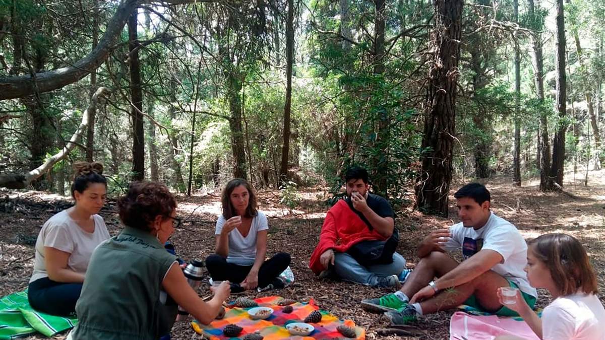 Propuesta de relajación en el bosque de Cariló. Fuente: (Instagram)